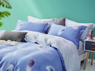 Постельное белье Asabella 1706-6 евро сатин тенсел