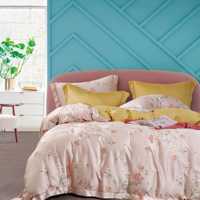 Постельное белье Asabella 1628-6 евро сатин тенсел