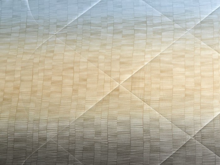 Одеяло ЛЕТНЕЕ тенсел в тенселе 200х220 см, 2190-OM