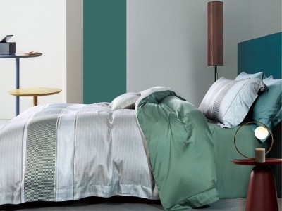 Постельное белье Asabella 1754-6 евро тенсел-люкс