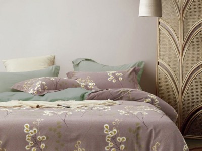 Постельное белье Asabella 1887-6/160*30 евро фланель